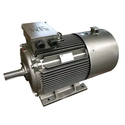 YVFE4 355M-2/4/6/8/10 VF 3-فیز غیر مطابقت پذیر موٹر
